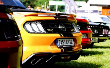 DSC01790 (1).jpg